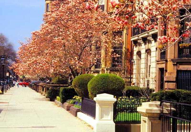 Готель Courtyard By Marriott Boston Logan Airport Екстер'єр фото
